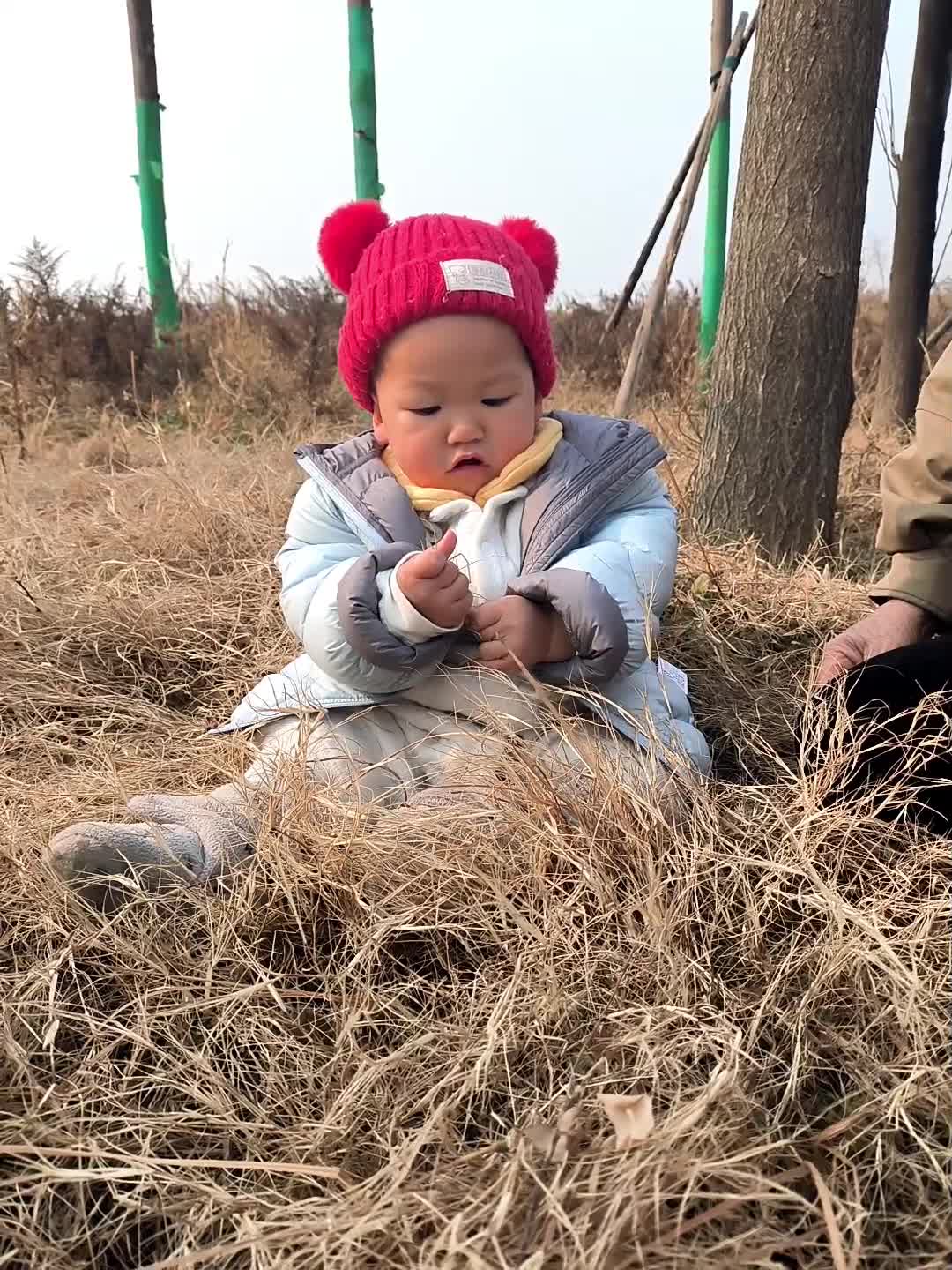 VID_20251230_113941.mp4