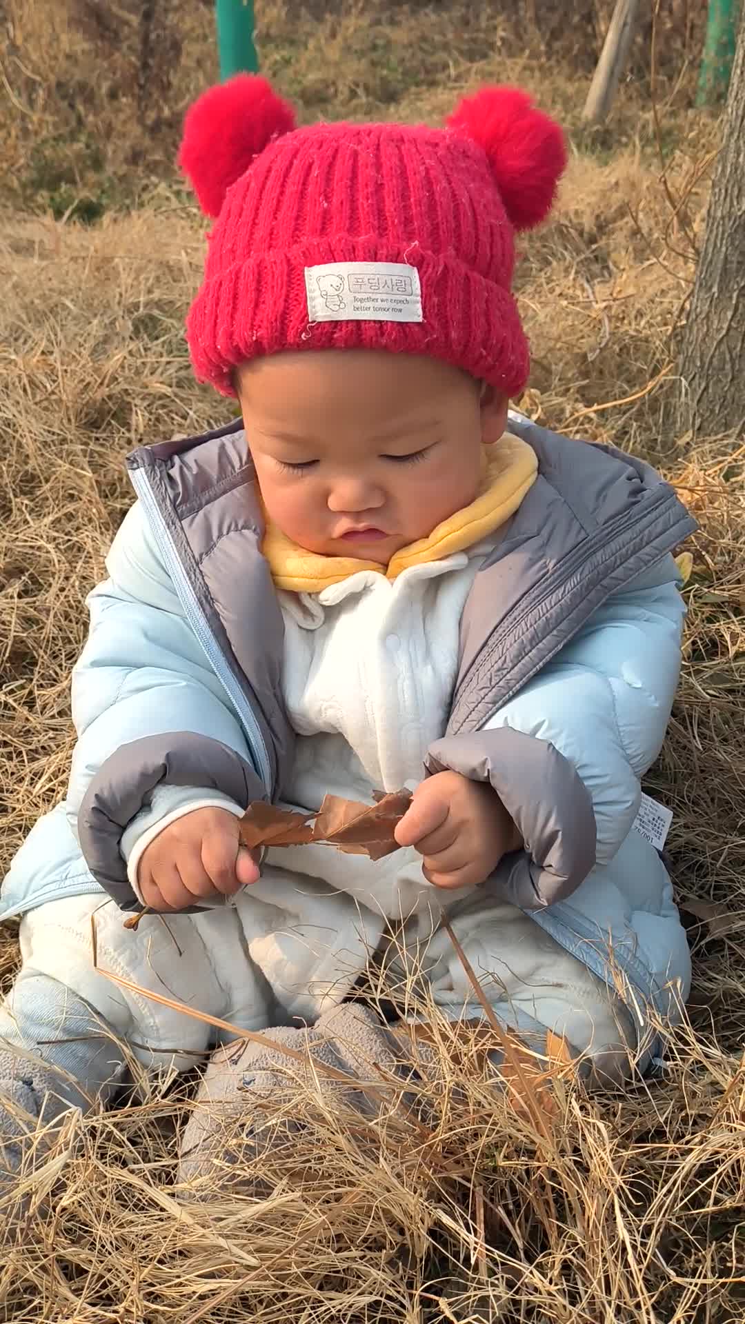 VID_20251230_114120.mp4