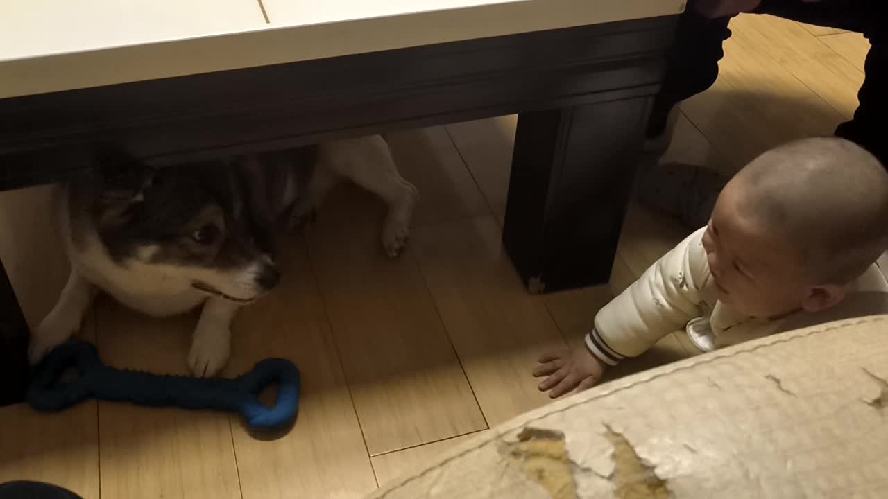 VID_20260214_174559.mp4