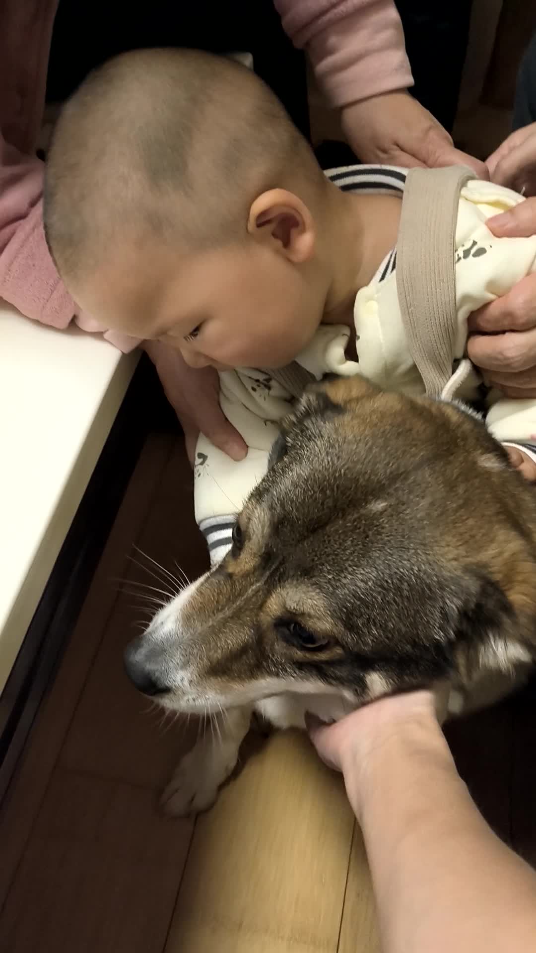 VID_20260214_174940.mp4