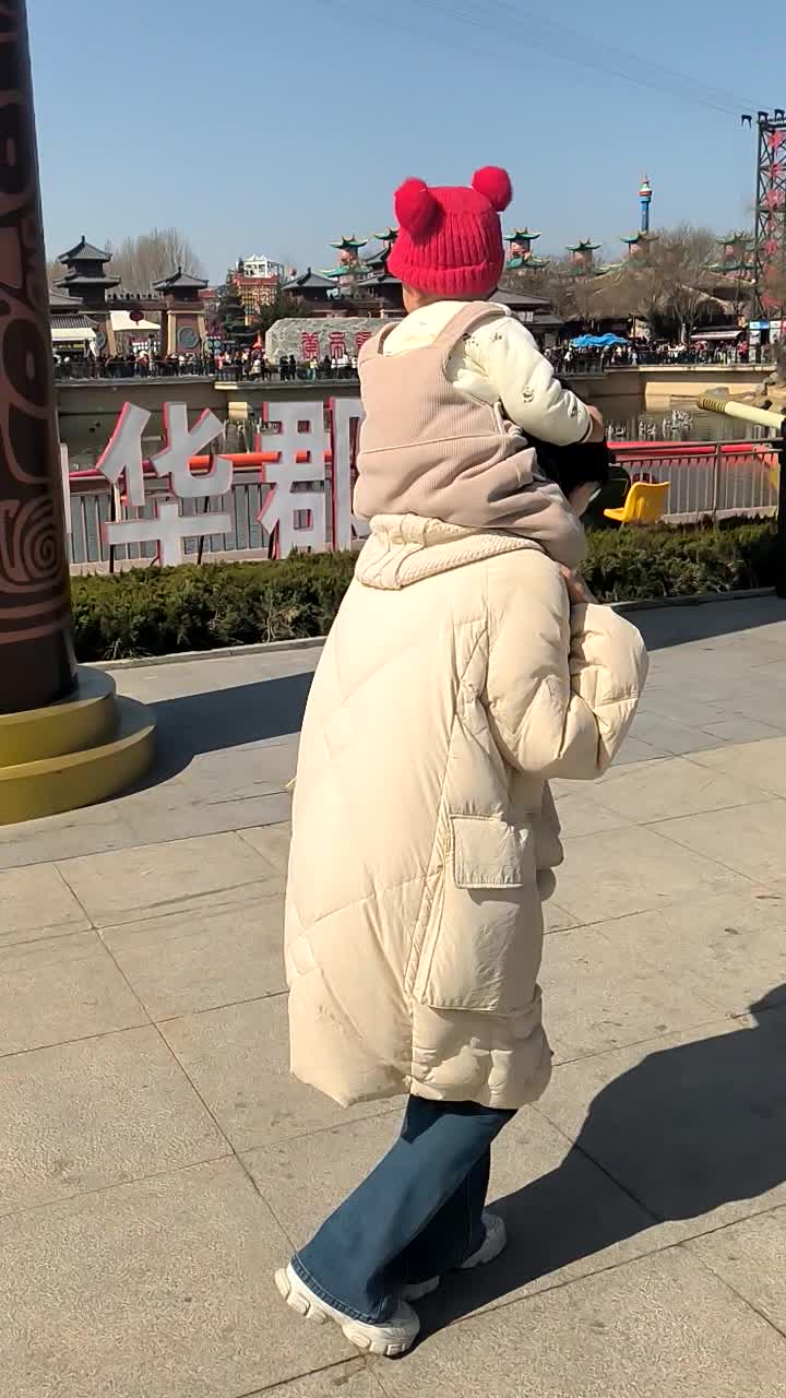 VID_20260219_120947.mp4