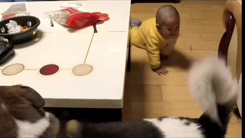 VID_20260221_224824.mp4