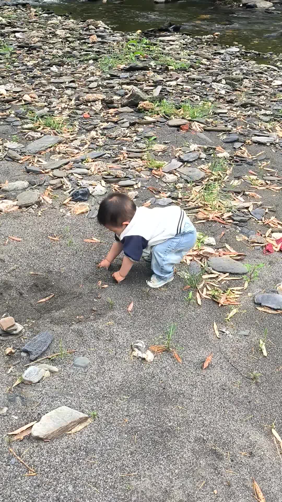 VID_20260501_144039.mp4