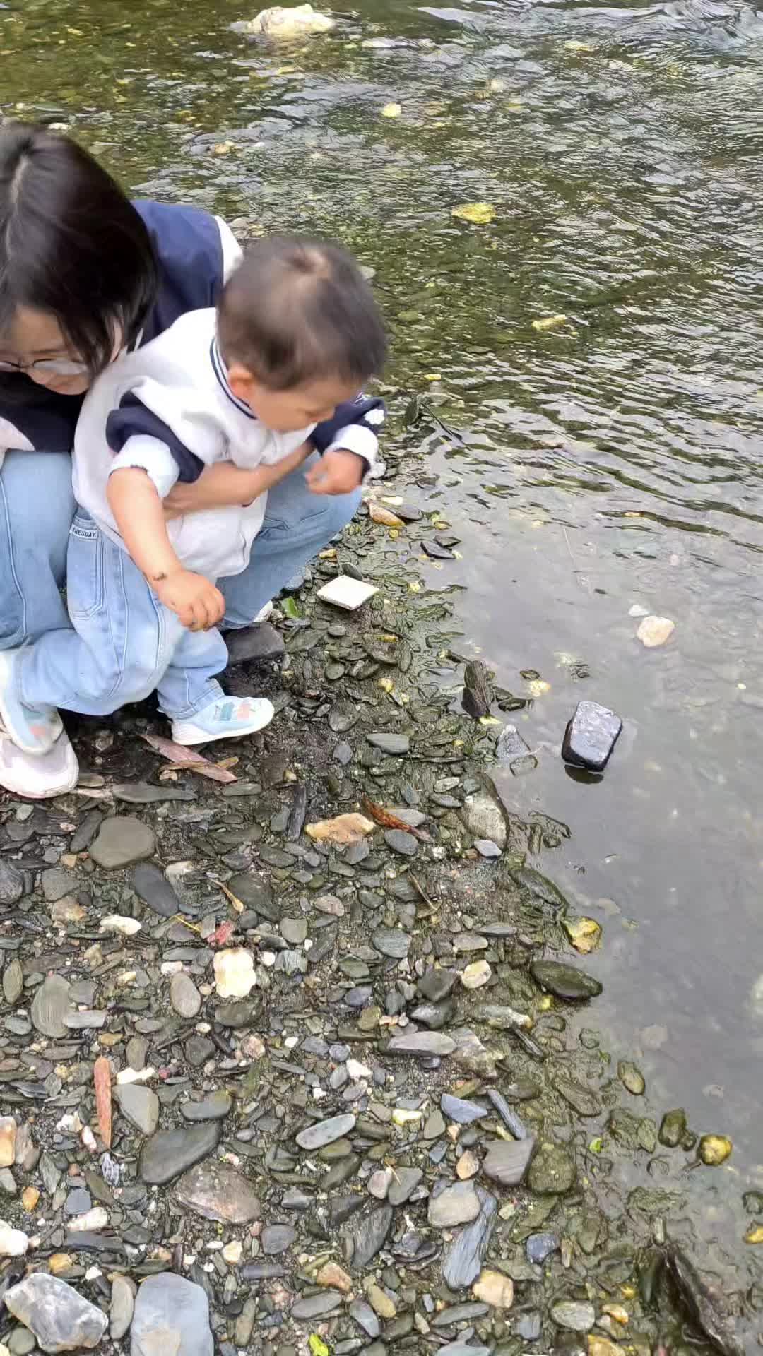 VID_20260502225211411.mp4
