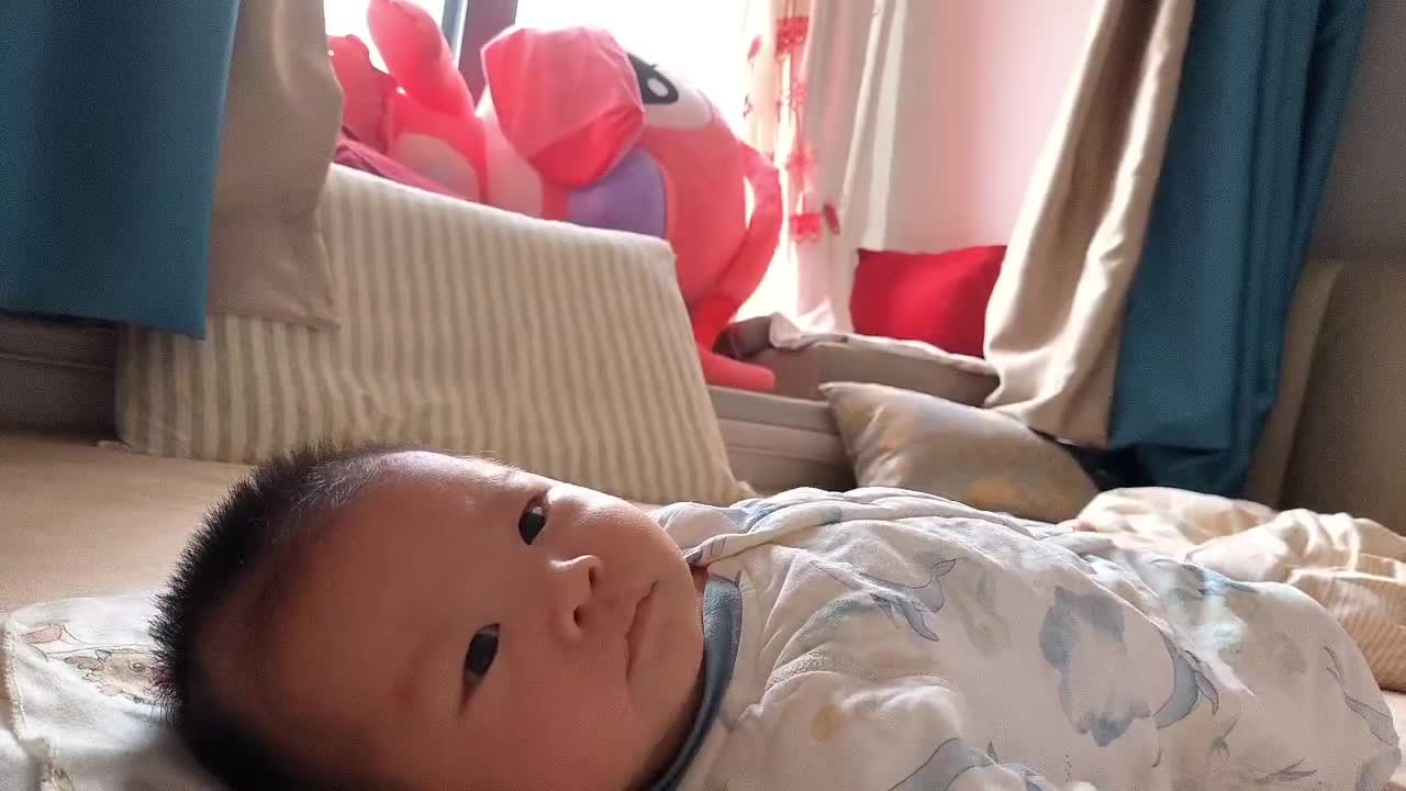 wx_camera_1744358502691.mp4