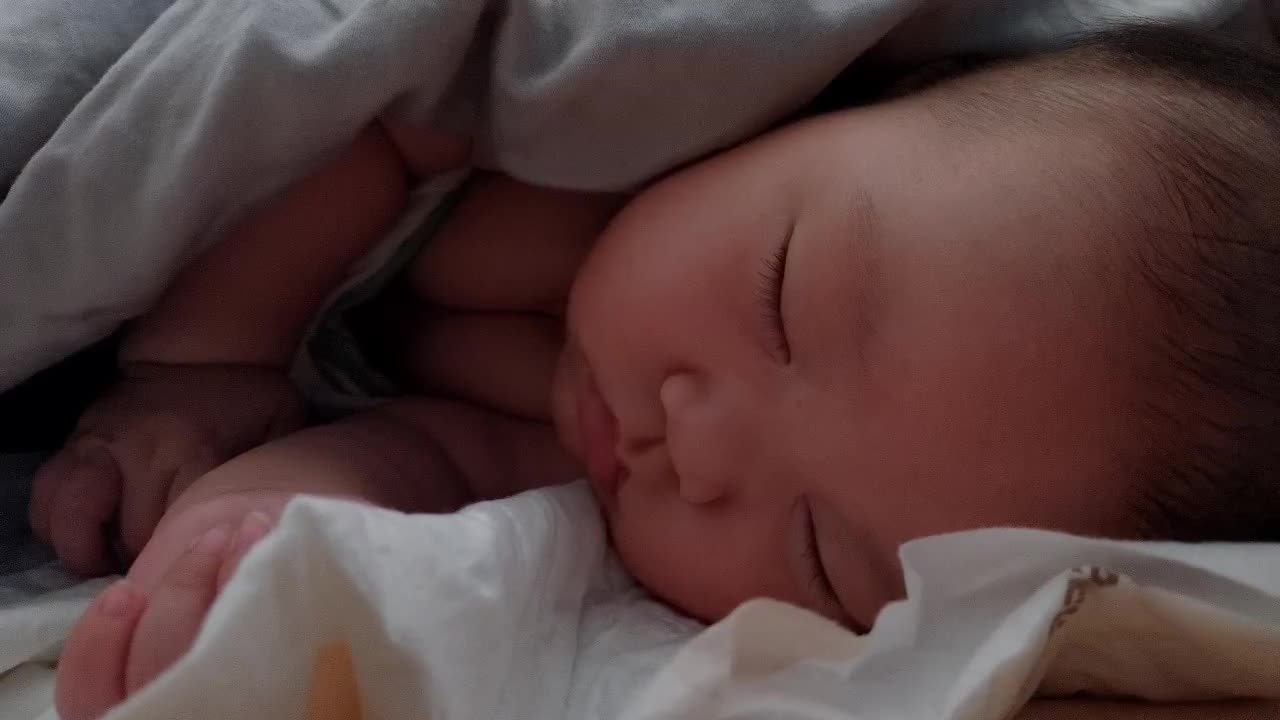 wx_camera_1744960906701.mp4