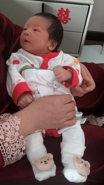 VID_20250115_152903.mp4