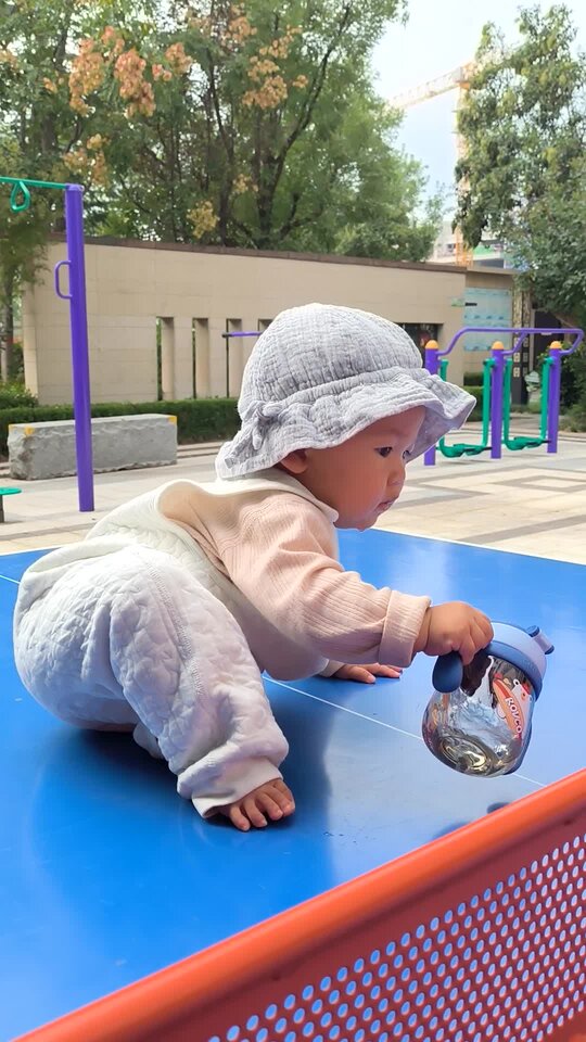 VID_20251002_145612.mp4