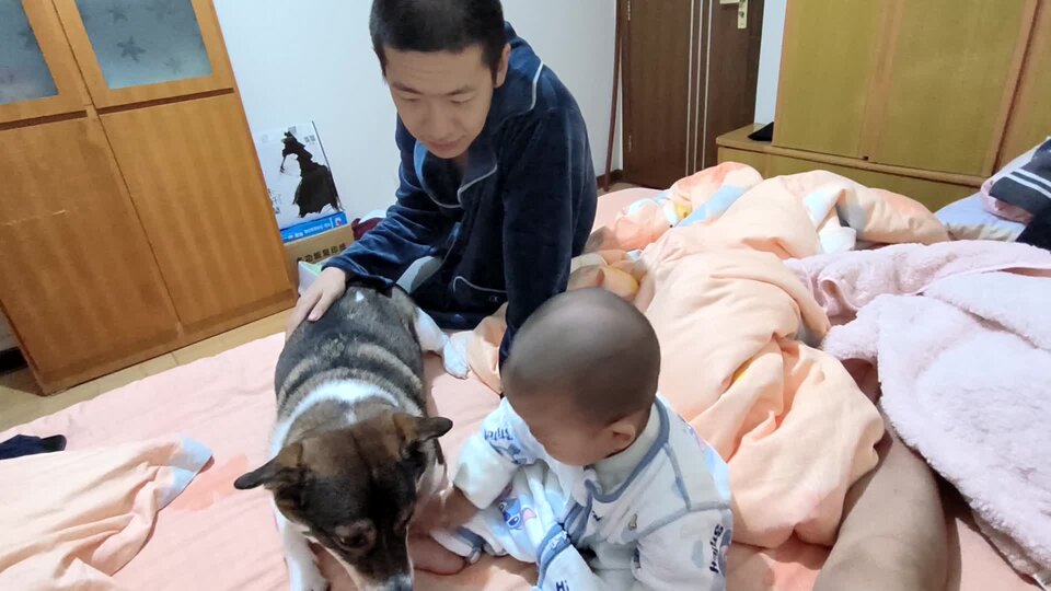 VID_20251004_011146.mp4