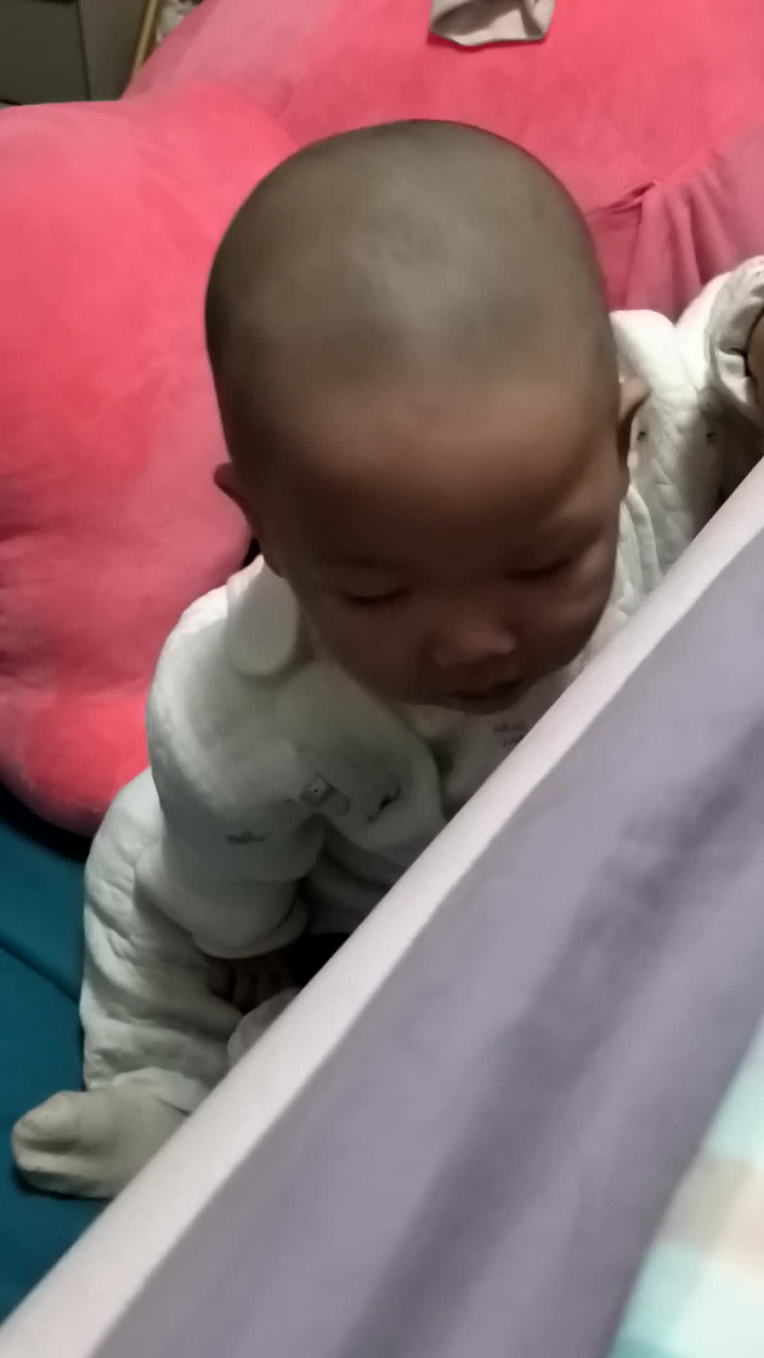 VID_20260209_191152.mp4