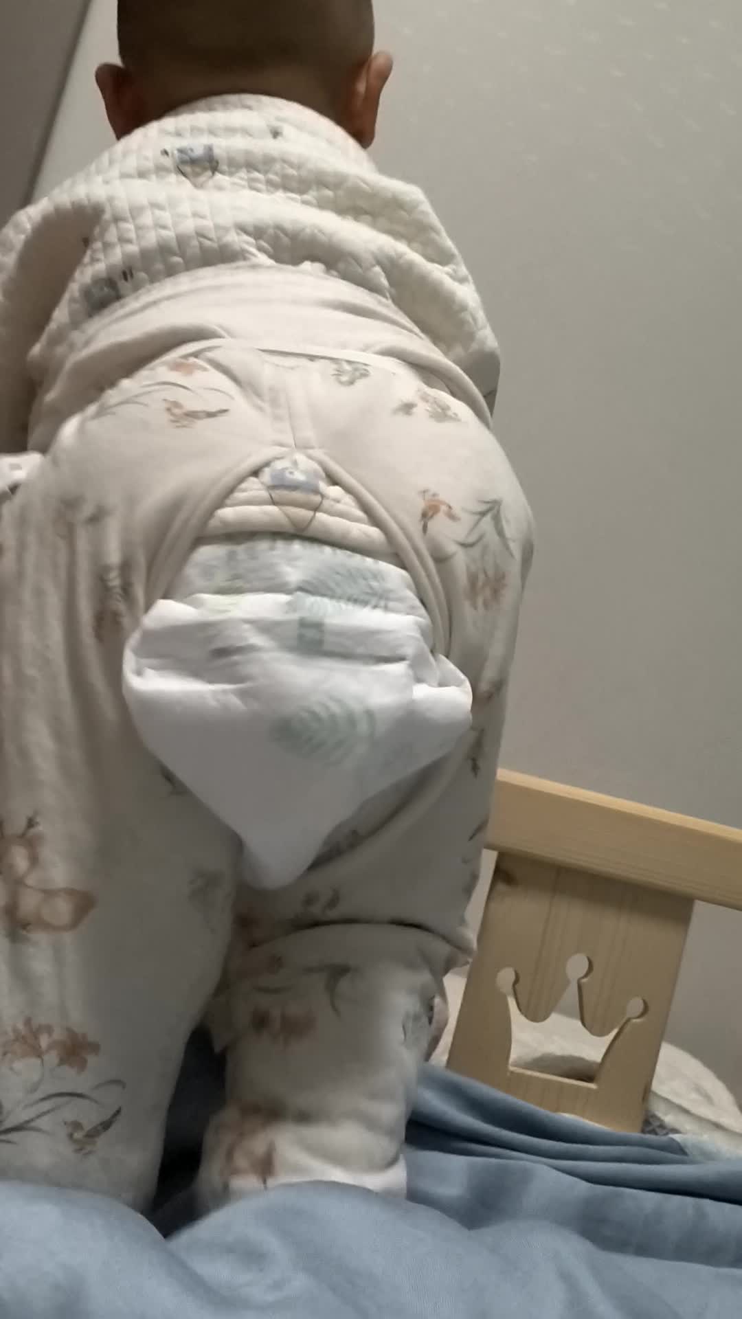 VID_20260212_205648.mp4