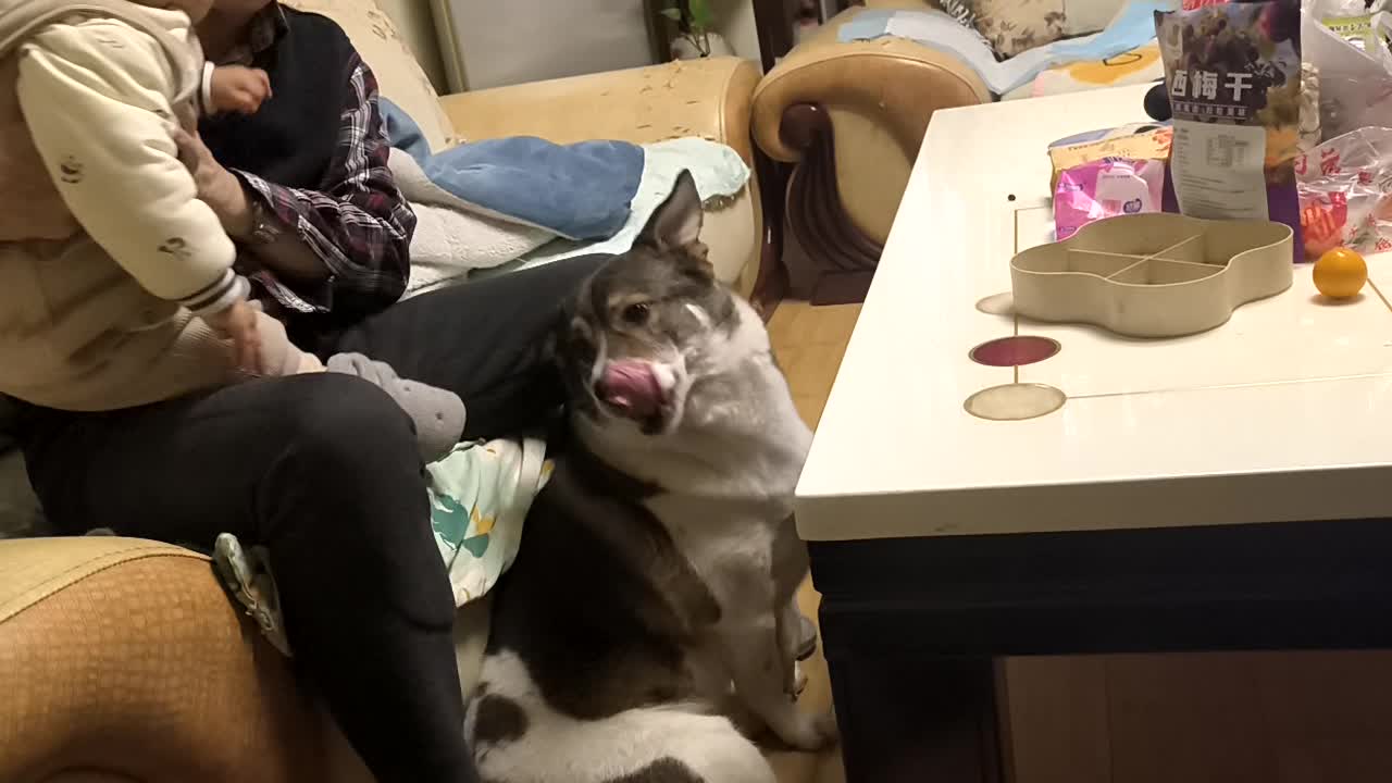 VID_20260214_174759.mp4