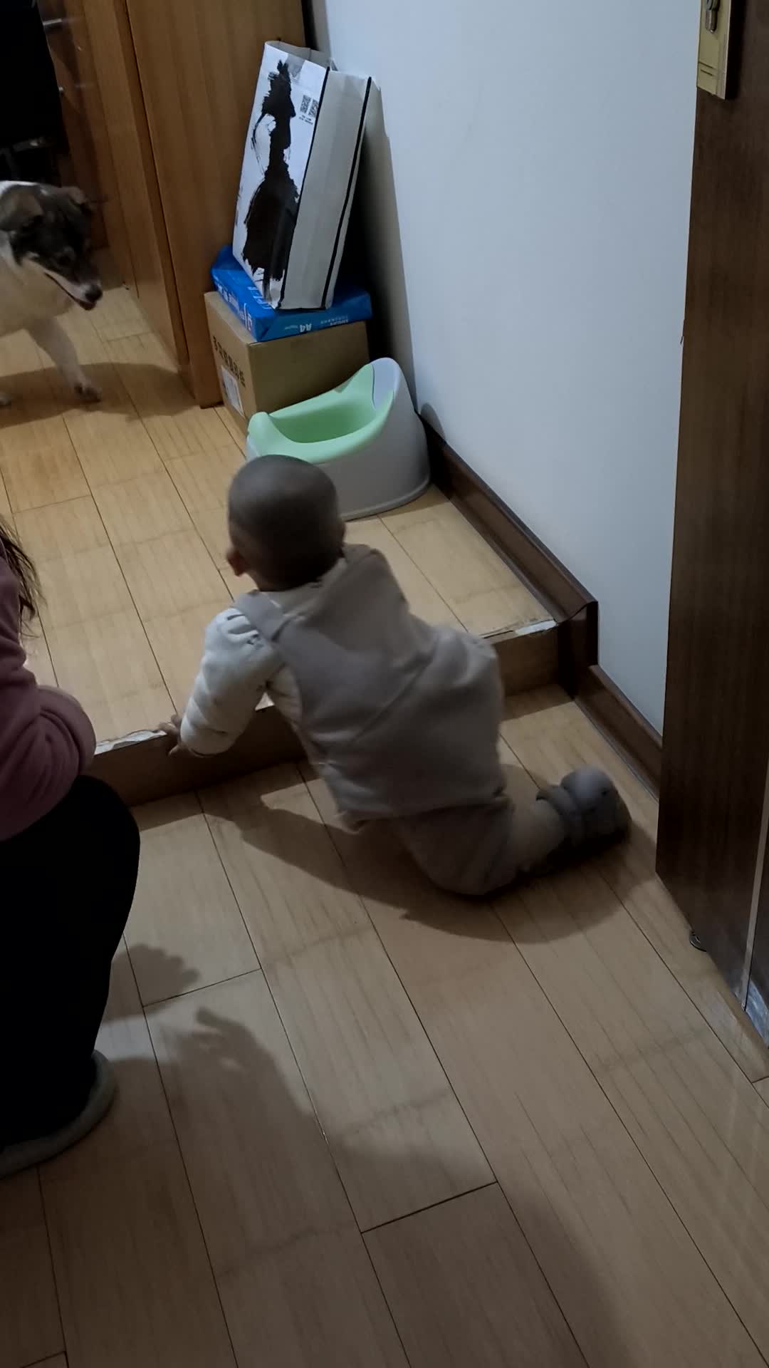 VID_20260214_175321.mp4