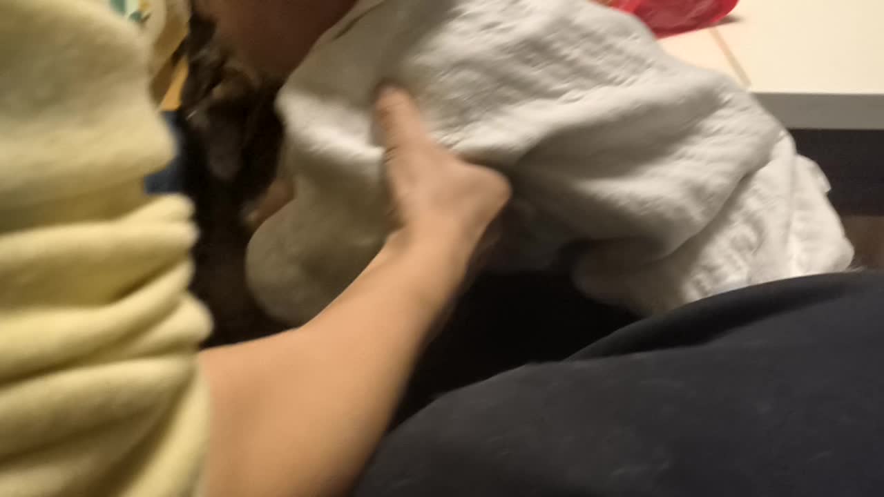 VID_20260214_190731.mp4