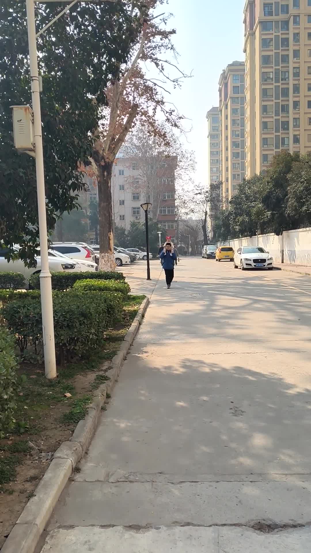 VID_20260218_112150.mp4