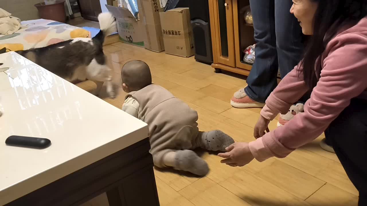 VID_20260222_193231.mp4